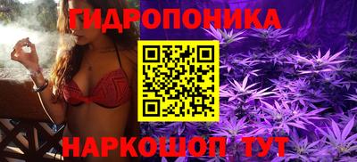 Альфа ПВП Кинель