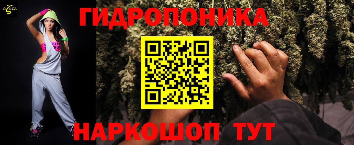 Шишки марихуана тримм  Каннабис Amnesia  Шишки марихуана план  Вход с VPN  Коряжма 